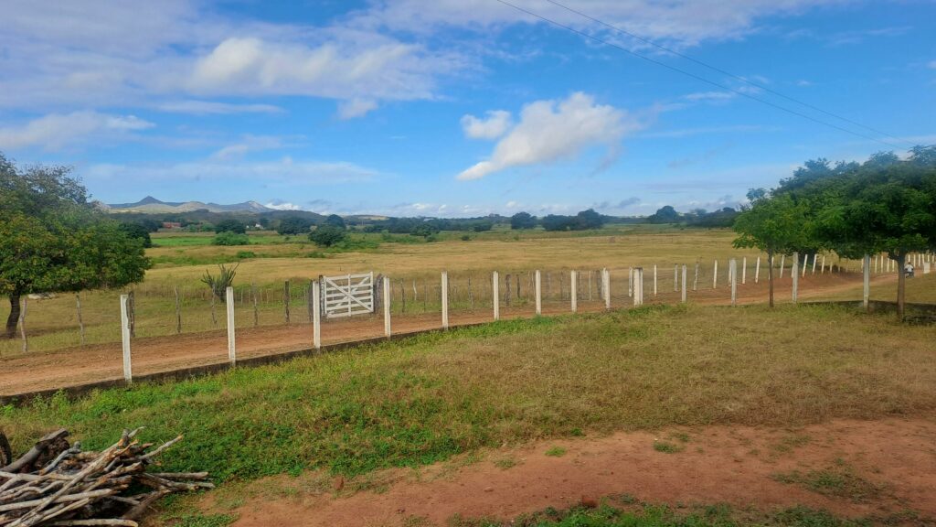 pexels-photo-32767202-32767202 Wide rural landscape with a fence and open fields under a blue sky.